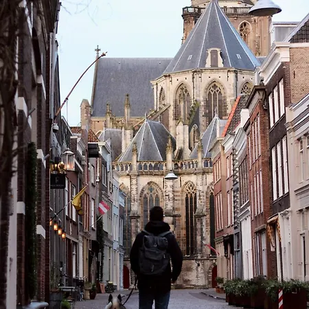 Cosy Garden Bed & Breakfast