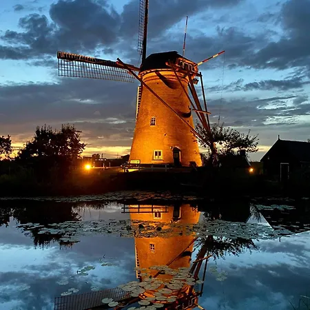 Cosy Garden Alblasserdam