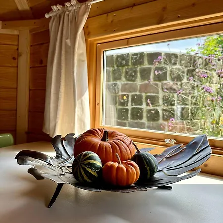 Bed & Breakfast Cosy Garden