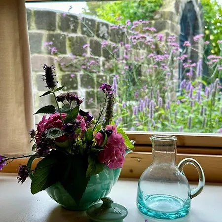 Cosy Garden *