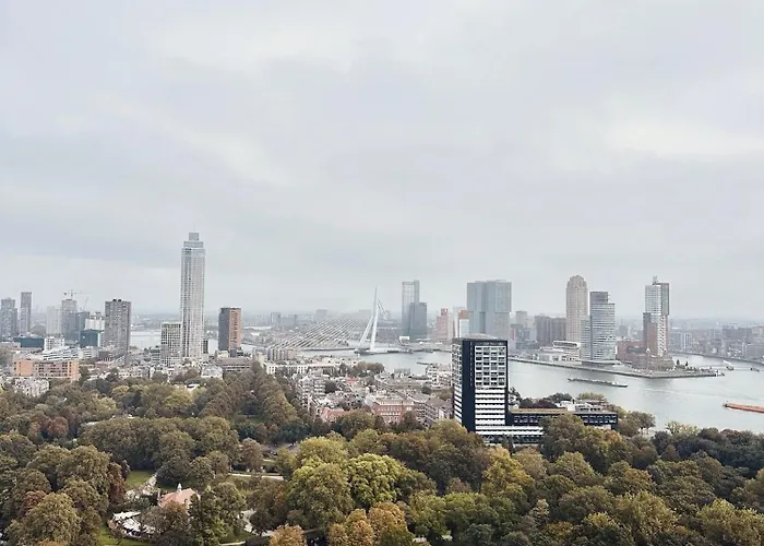 Cosy Garden Bed & Breakfast Alblasserdam