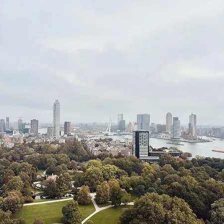 Cosy Garden ベッド・アンド・ブレックファスト Alblasserdam